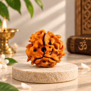 Shree Jap 3 Mukhi Rudraksha — Karma Cleansing Bead