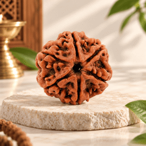Shree Jap 6 Mukhi Rudraksha